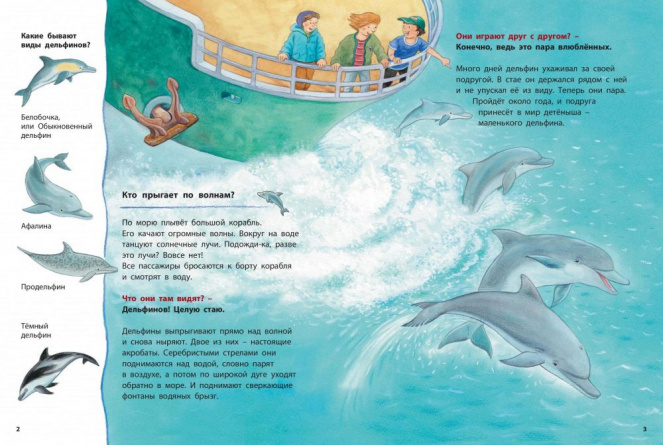 Дельфинчик и его морские соседи. Познавательные истории фото 3