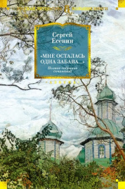 Мне осталась одна забава... Полное собрание сочинений. Русская литература. Большие книги