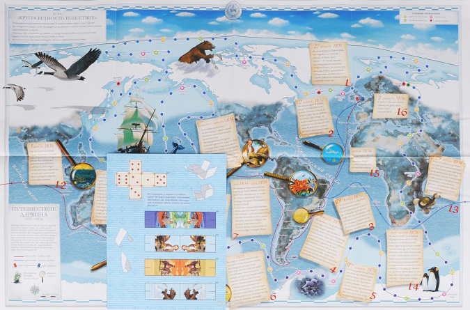 Плакат-игра 'Путешествия и открытия Чарльза Дарвина' фото 2