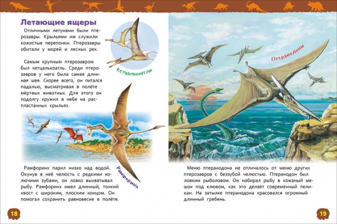 Динозавры. Энциклопедия для детского сада фото 2