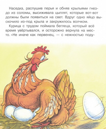 Непослушный цыпленок. Книжка с крупными буквами фото 2