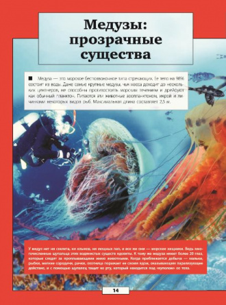 Подводный мир. Энциклопедии с дополненной реальностью фото 8