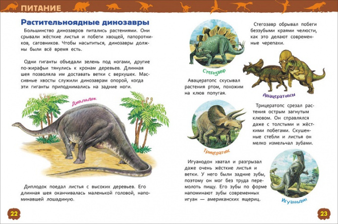 Динозавры. Энциклопедия для детского сада фото 3