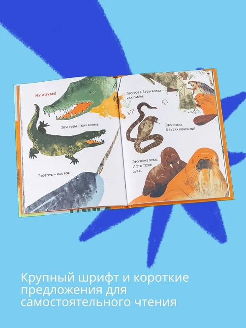 Зубы Зубы... Зубы! Книжный старт фото 5