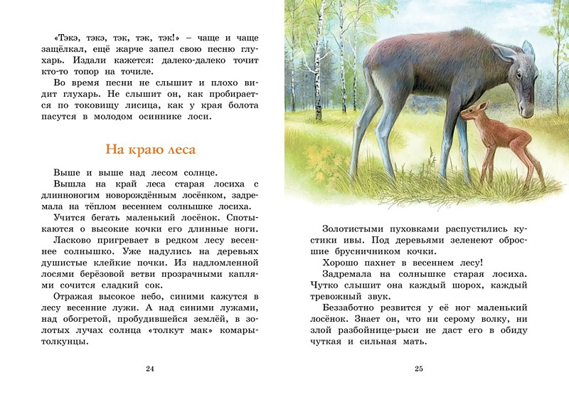 Год в лесу. Рассказы о природе. Яркая ленточка фото 4