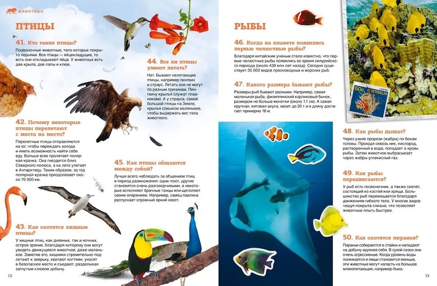 Обо всём на свете - от египетских пирамид до самолётов фото 4