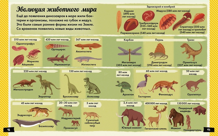 А почему динозавры такие огромные? фото 5