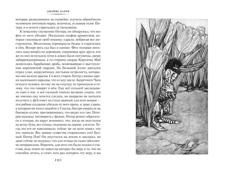 Питер Пэн и Венди. Дети воды. Ветер в ивах. Большие книги фото 4