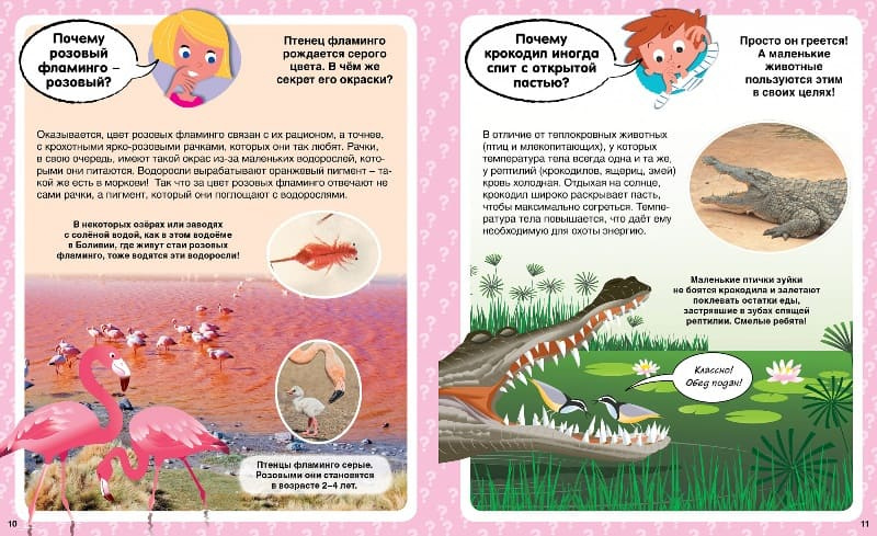 Твоя первая энциклопедия. Почему? 100 вопросов и ответов в картинках фото 3