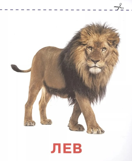 Зоопарк. Карточки для малышей. Запуск речи фото 2