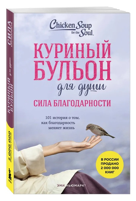 Куриный бульон для души. Сила благодарности. 101 история о том, как благодарность меняет жизнь (карманный формат) фото 1