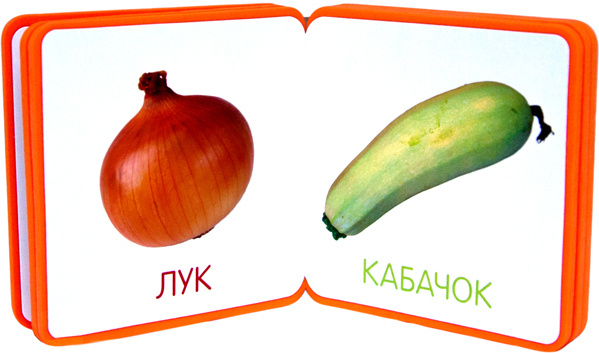 Мой первый словарик. Овощи (EVA) фото 3