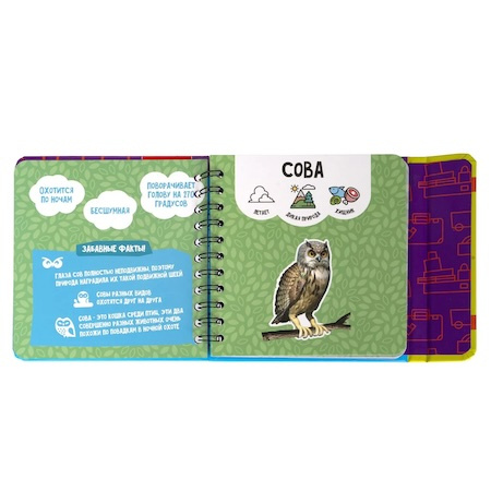 Мини-игры в дорогу "Изучаем плавающих и летающих животных" с дополненной реальностью фото 2