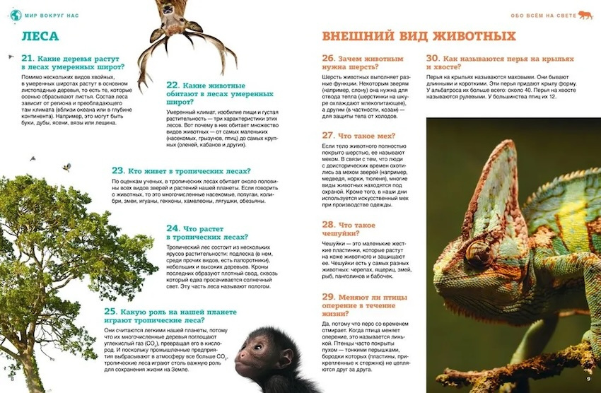 Обо всём на свете - от египетских пирамид до самолётов фото 3
