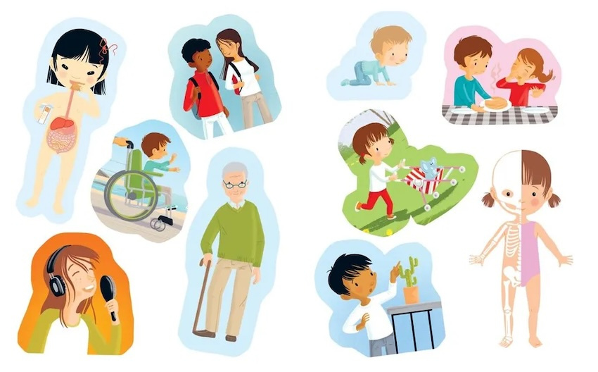 Раннее развитие малыша. Тело человека (с наклейками) фото 3