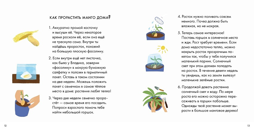 Я знаю, что я ем! Фрукты фото 4