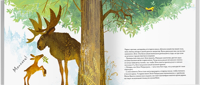 Школа леса. Что делать, если оказался в опасности? фото 5