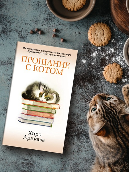 Хроники странствующего кота. Прощание с котом. Комплект из 2х книг фото 8