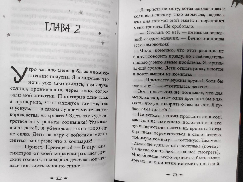 Принцесса против Ворчуна. Выпуск 1 фото 2