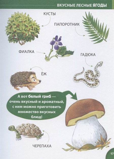 Энциклопедия для малышей (илл. Тони Вульфа) фото 2