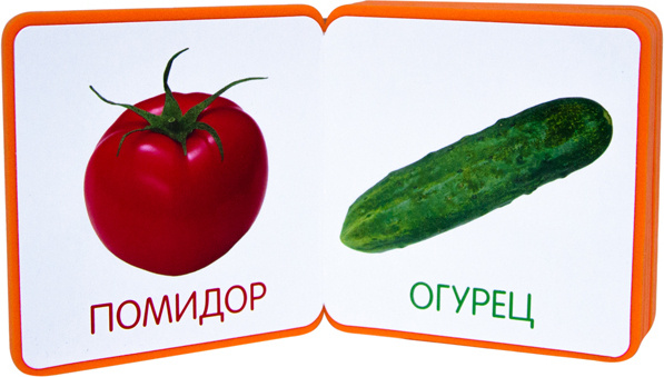 Мой первый словарик. Овощи (EVA) фото 2