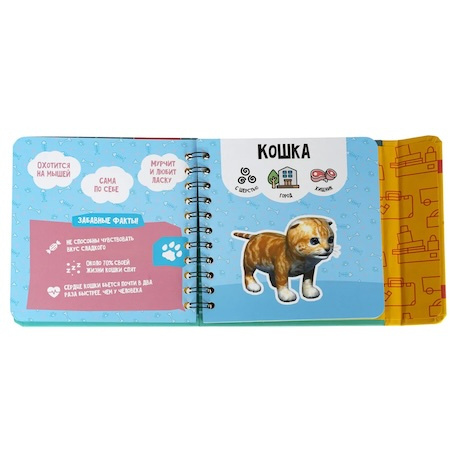 Мини-игры в дорогу "Изучаем диких и домашних животных" с дополненной реальностью фото 2