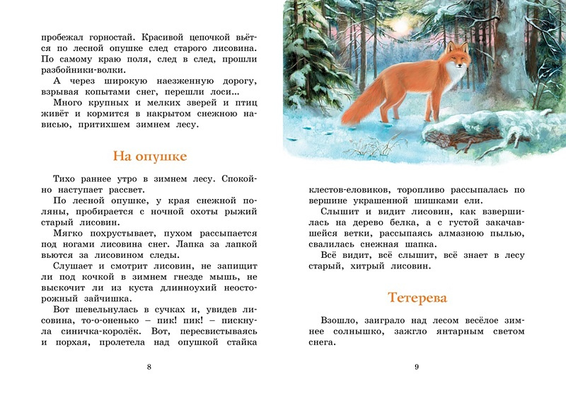 Год в лесу. Рассказы о природе. Яркая ленточка фото 2