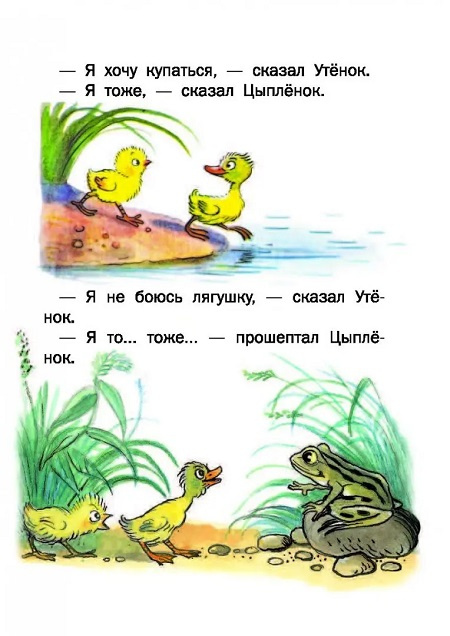 Сказки В. Сутеева. Все самое лучшее у автора фото 3