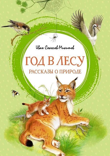 Год в лесу. Рассказы о природе. Яркая ленточка фото 1