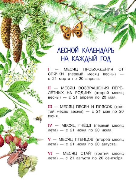 Лесная газета. Первые книжки о животных фото 2