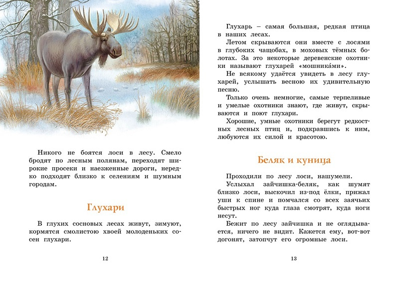 Год в лесу. Рассказы о природе. Яркая ленточка фото 3