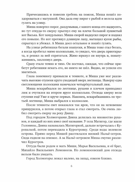 Мальчик из Холмогор фото 2