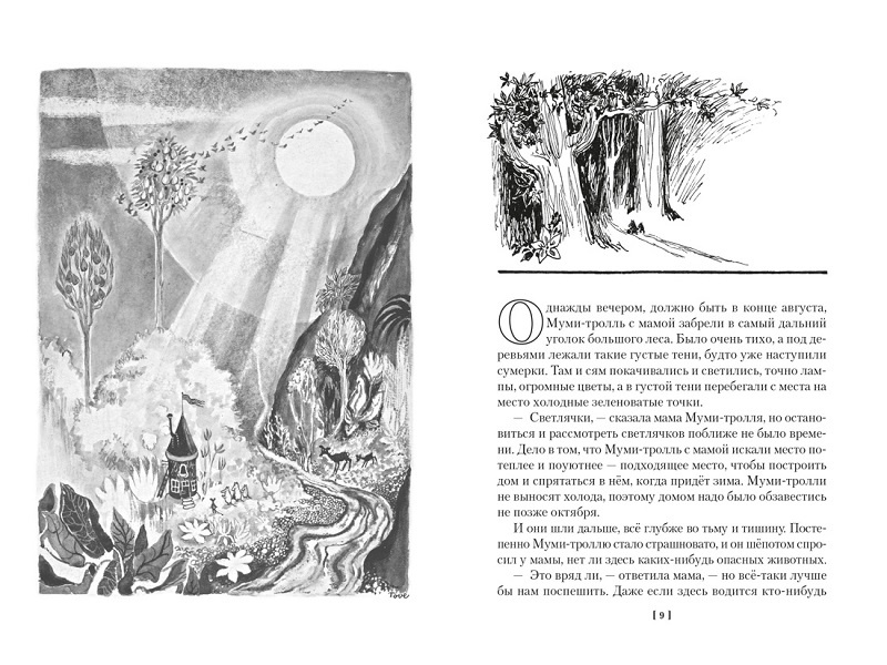 Шляпа Волшебника. Муми-тролли и все-все-все. Книга 1 фото 2